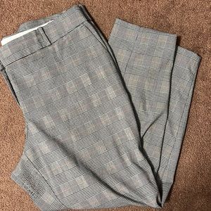 LOFT Plus Slim Pants